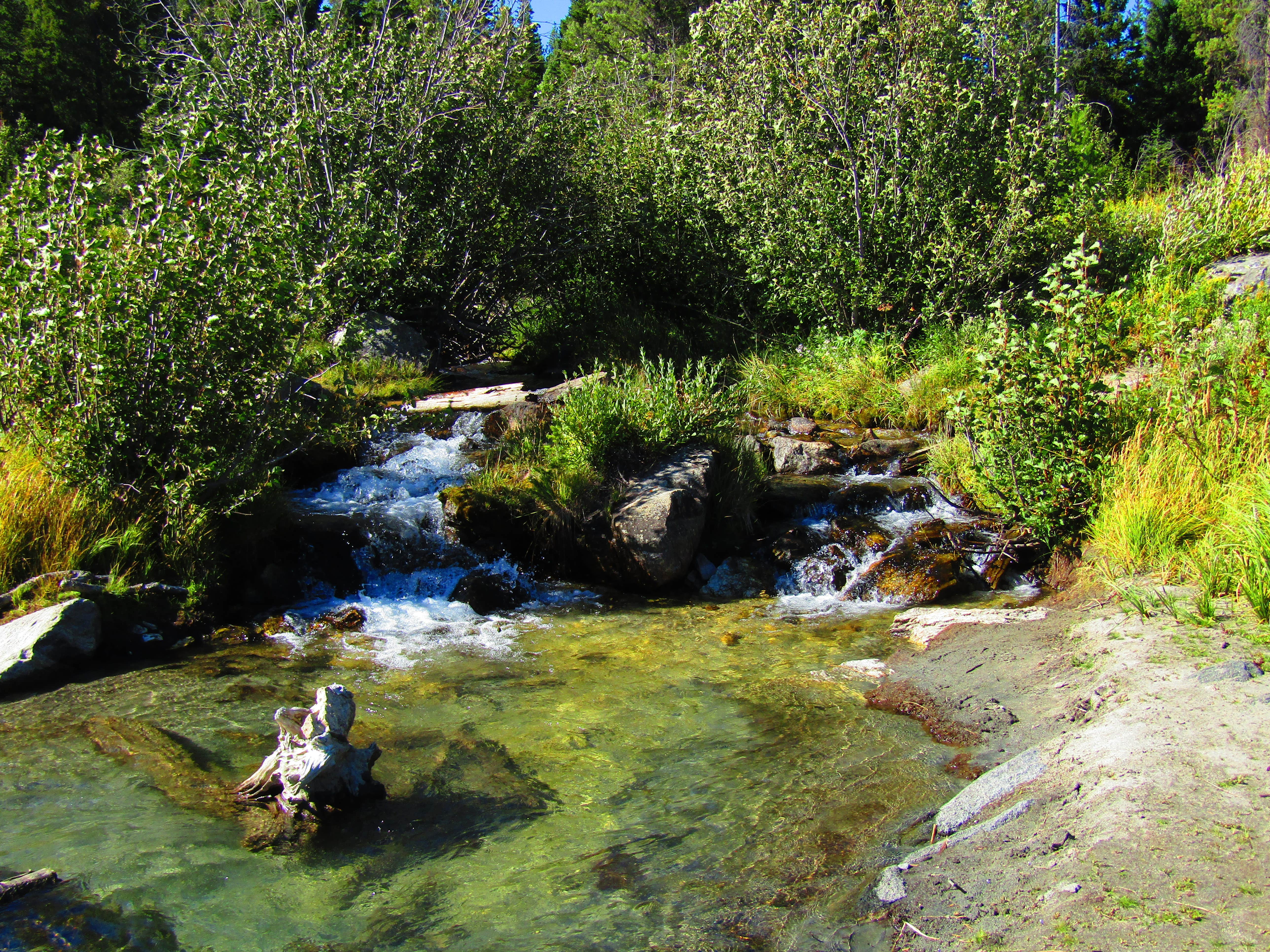 Camper submitted image from Bear Paw Lake — Grand Teton National Park - 5