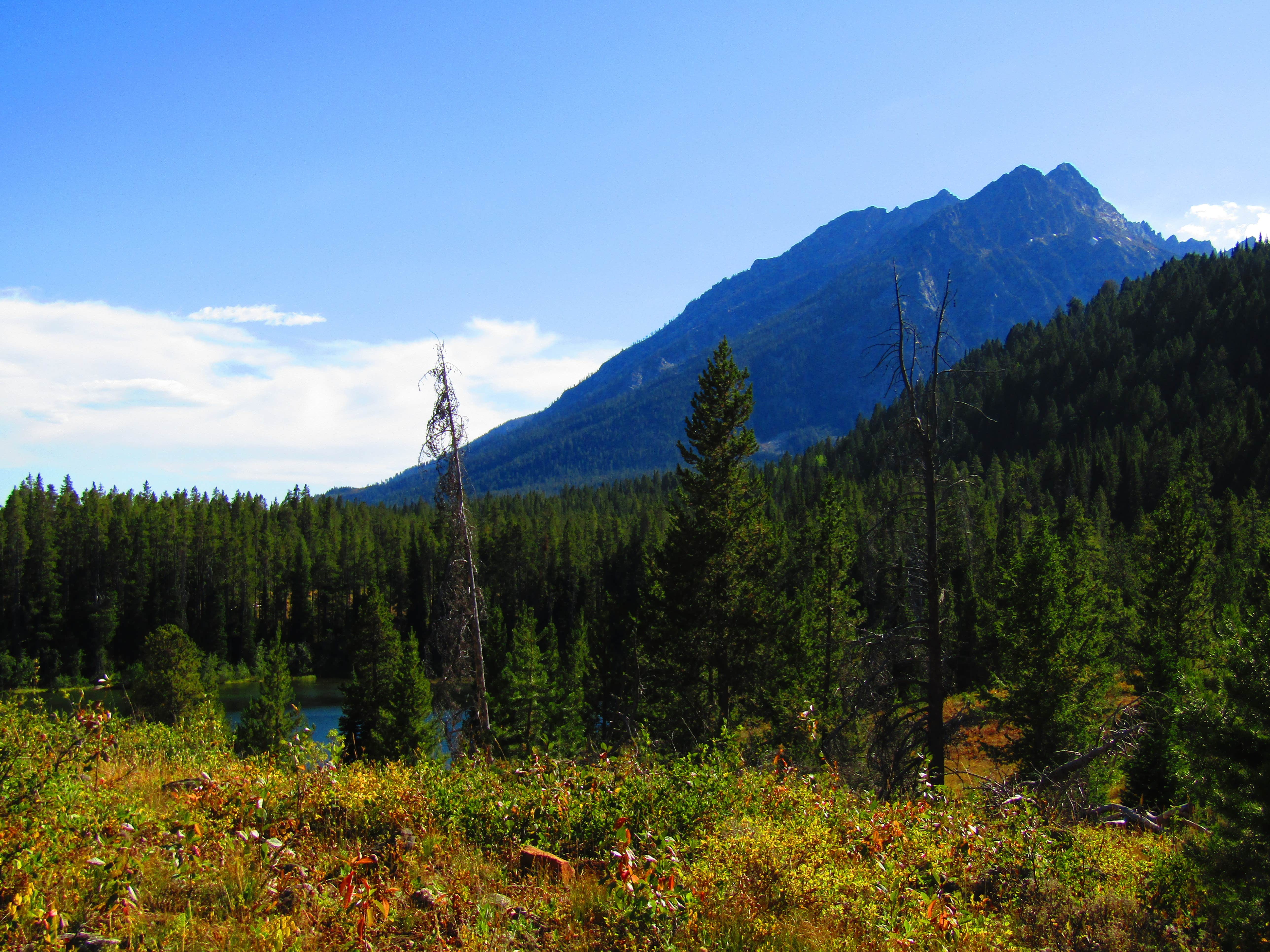 Camper submitted image from Bear Paw Lake — Grand Teton National Park - 2