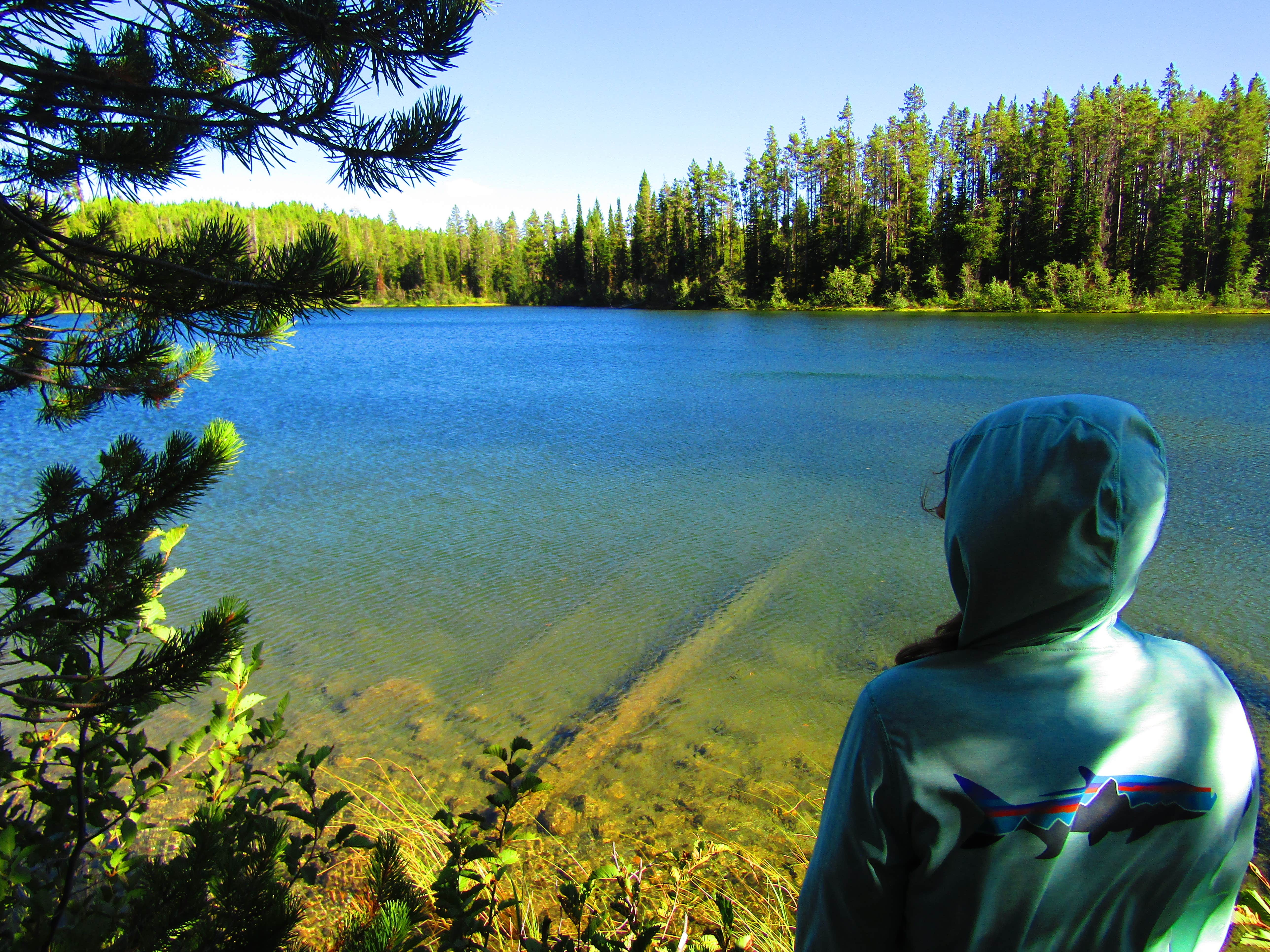 Camper submitted image from Bear Paw Lake — Grand Teton National Park - 5