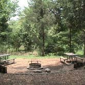 Review photo of Andy Guest/Shenandoah River State Park Campground by Kristin Y., July 1, 2016