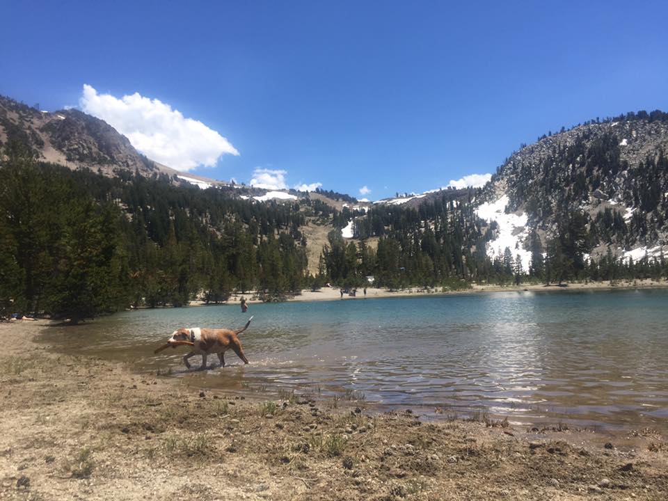 Camper submitted image from Inyo National Forest Dispersed Camping - 4