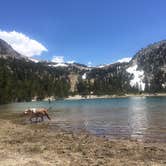 Review photo of Inyo National Forest Dispersed Camping by Daniel S., October 15, 2017
