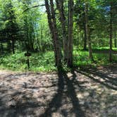 Review photo of Judge C. R. Magney State Park Campground by Krista T., June 9, 2020