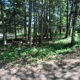 Review photo of Judge C. R. Magney State Park Campground by Krista T., June 9, 2020