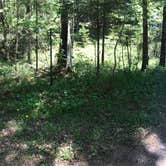 Review photo of Judge C. R. Magney State Park Campground by Krista T., June 9, 2020