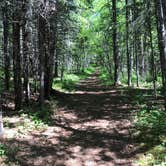 Review photo of Judge C. R. Magney State Park Campground by Krista T., June 9, 2020