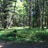 Review photo of Judge C. R. Magney State Park Campground by Krista T., June 9, 2020