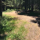 Review photo of Judge C. R. Magney State Park Campground by Krista T., June 9, 2020