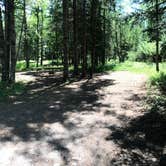 Review photo of Judge C. R. Magney State Park Campground by Krista T., June 9, 2020