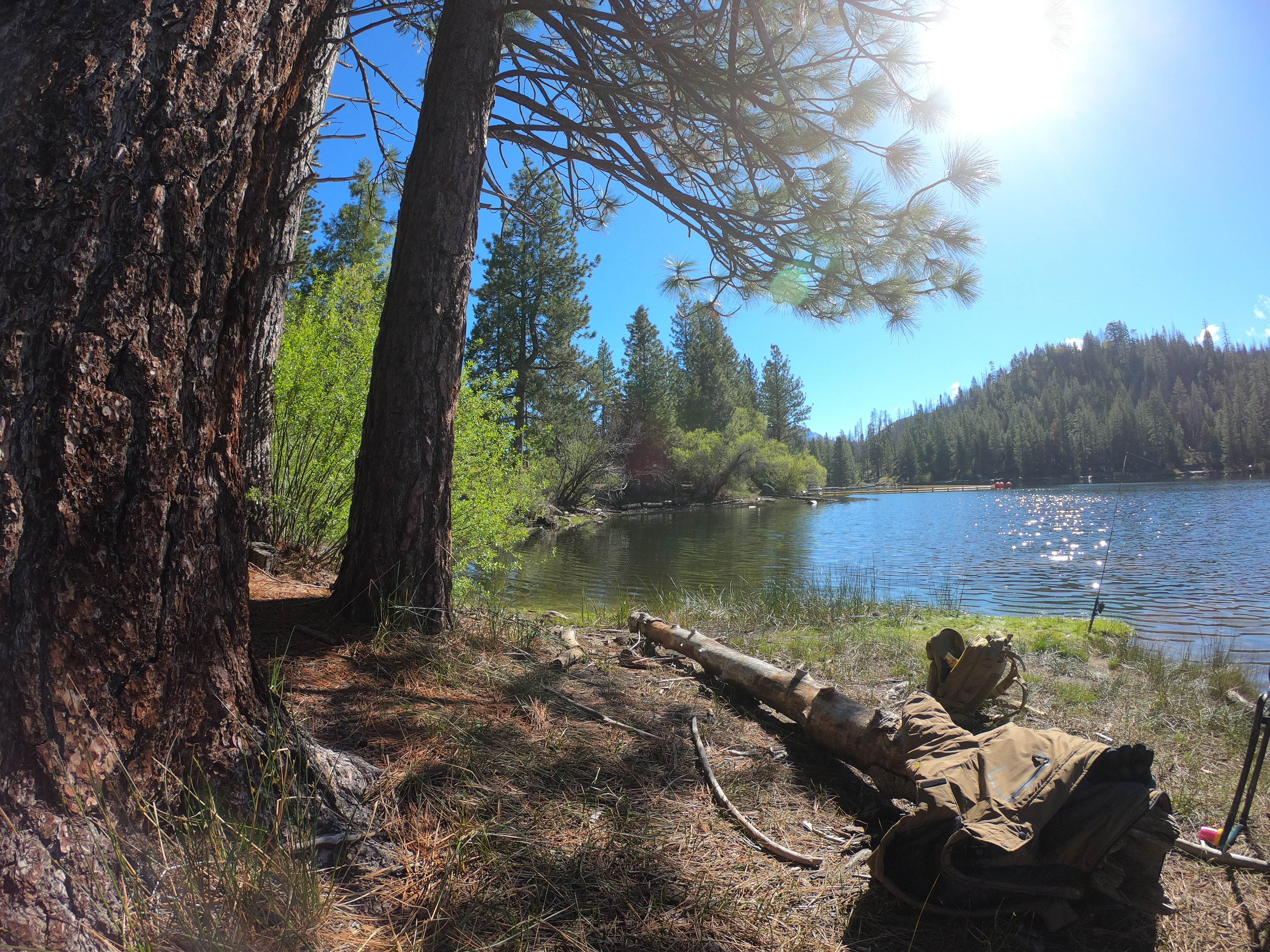Camper-submitted photo at Sequoia National Forest Hume Lake Campground near Badger, CA