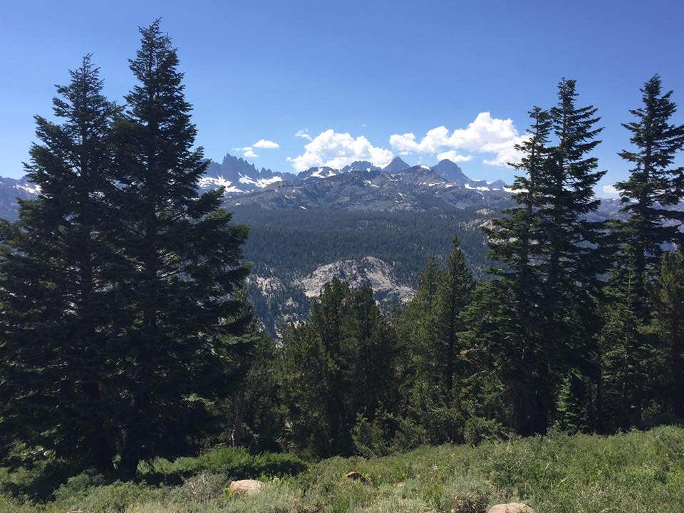 Camper submitted image from Inyo National Forest Dispersed Camping - 1