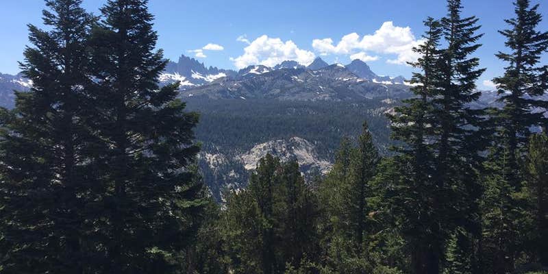 Camper submitted image from Inyo National Forest Dispersed Camping