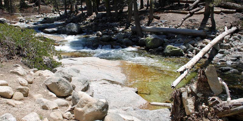 Camper submitted image from Sequoia Campground & Lodge - TEMP CLOSED THROUGH 2022