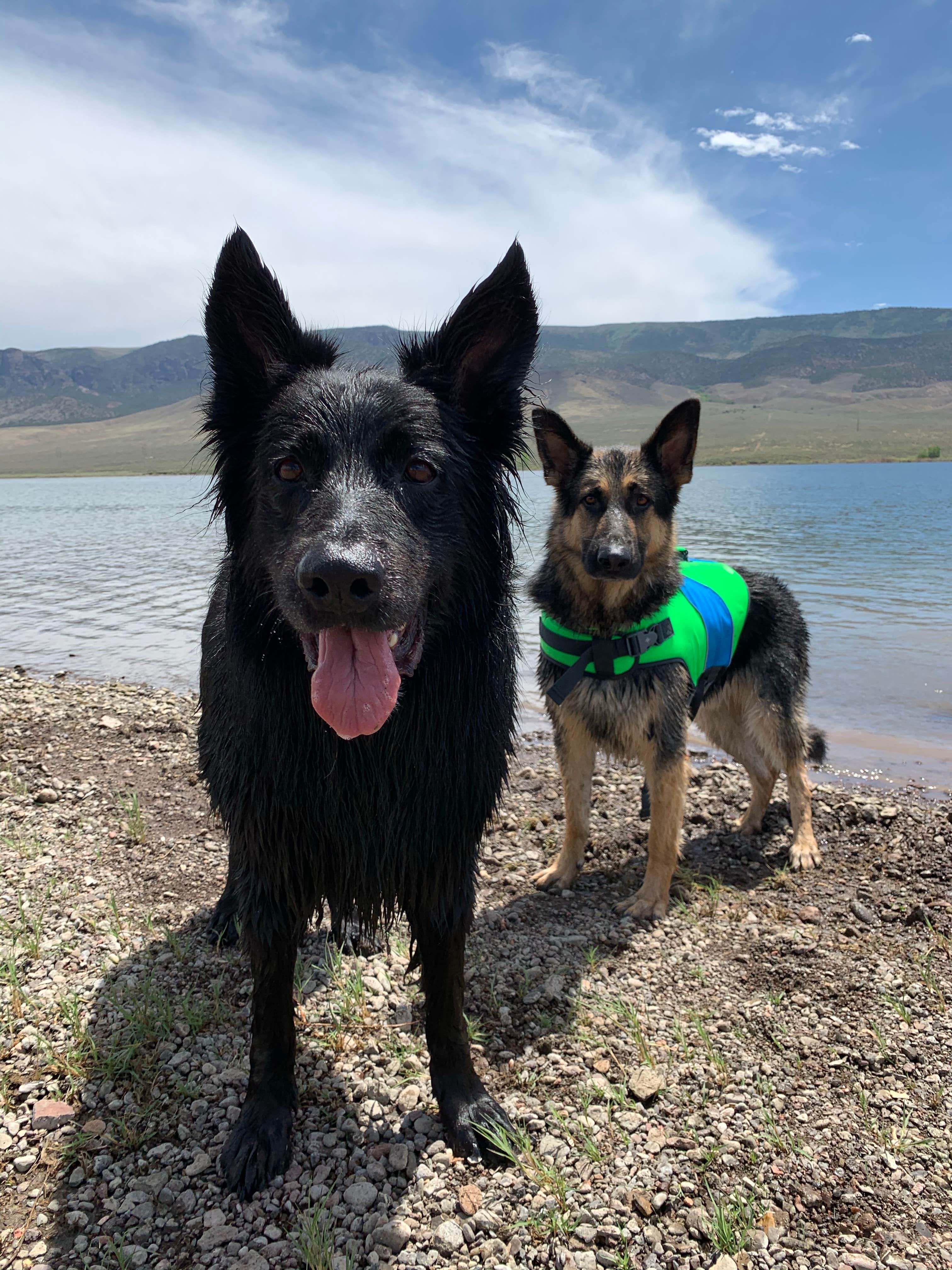Camper-submitted photo at Otter Creek State Park Campground near Junction, UT