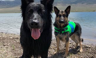 Taylor R.'s photo of camping with pets at Otter Creek State Park Campground near Fishlake National Forest