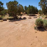 Review photo of Cedar Mesa Campground — Capitol Reef National Park by Pat S., June 9, 2020