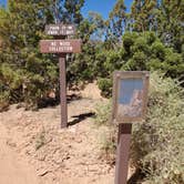 Review photo of Cedar Mesa Campground — Capitol Reef National Park by Pat S., June 9, 2020