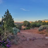 Review photo of Cedar Mesa Campground — Capitol Reef National Park by Pat S., June 9, 2020