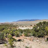 Review photo of Cedar Mesa Campground — Capitol Reef National Park by Pat S., June 9, 2020