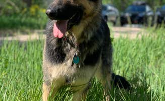 Taylor R.'s photo of camping with pets at Anderson Cove (uinta-wasatch-cache National Forest, Ut) near Hooper, UT