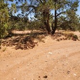 Review photo of Burr Trail Rd Dispersed Camping by Pat S., June 9, 2020