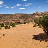 Review photo of Burr Trail Rd Dispersed Camping by Pat S., June 9, 2020