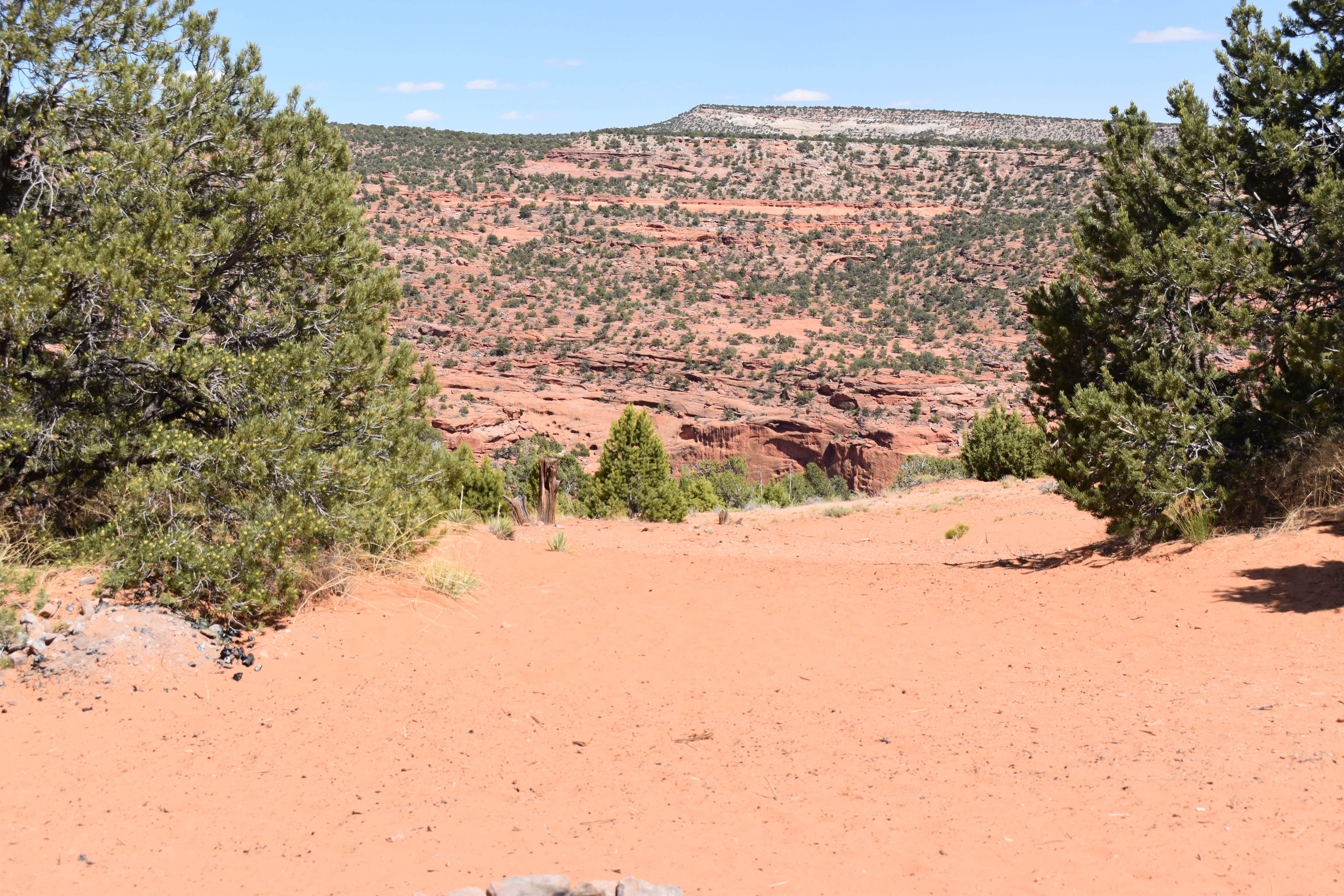 Camper-submitted photo at Burr Trail Rd Dispersed Camping near Escalante, UT