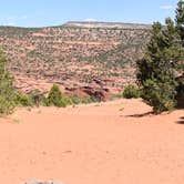 Review photo of Burr Trail Rd Dispersed Camping by Pat S., June 9, 2020