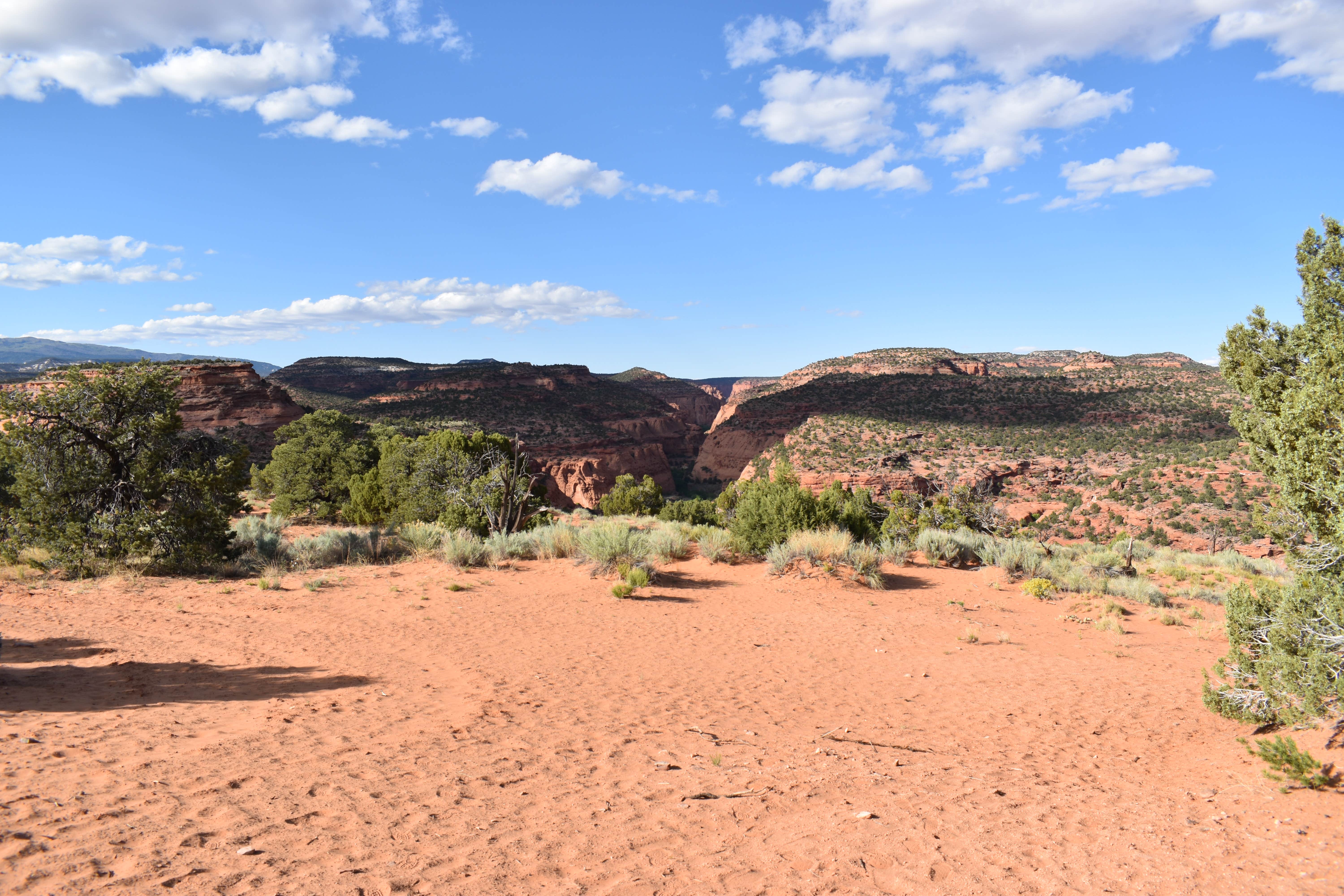 Camper-submitted photo at Burr Trail Rd Dispersed Camping near Escalante, UT