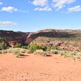 Review photo of Burr Trail Rd Dispersed Camping by Pat S., June 9, 2020