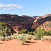 Review photo of Burr Trail Rd Dispersed Camping by Pat S., June 9, 2020