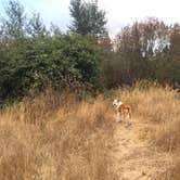 Review photo of Williamson River Campground by Daniel S., October 15, 2017