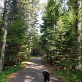 Review photo of Burlington Bay Campground by Nancy W., October 15, 2017