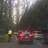 Review photo of Wawona Campground — Yosemite National Park by Daniel S., October 15, 2017