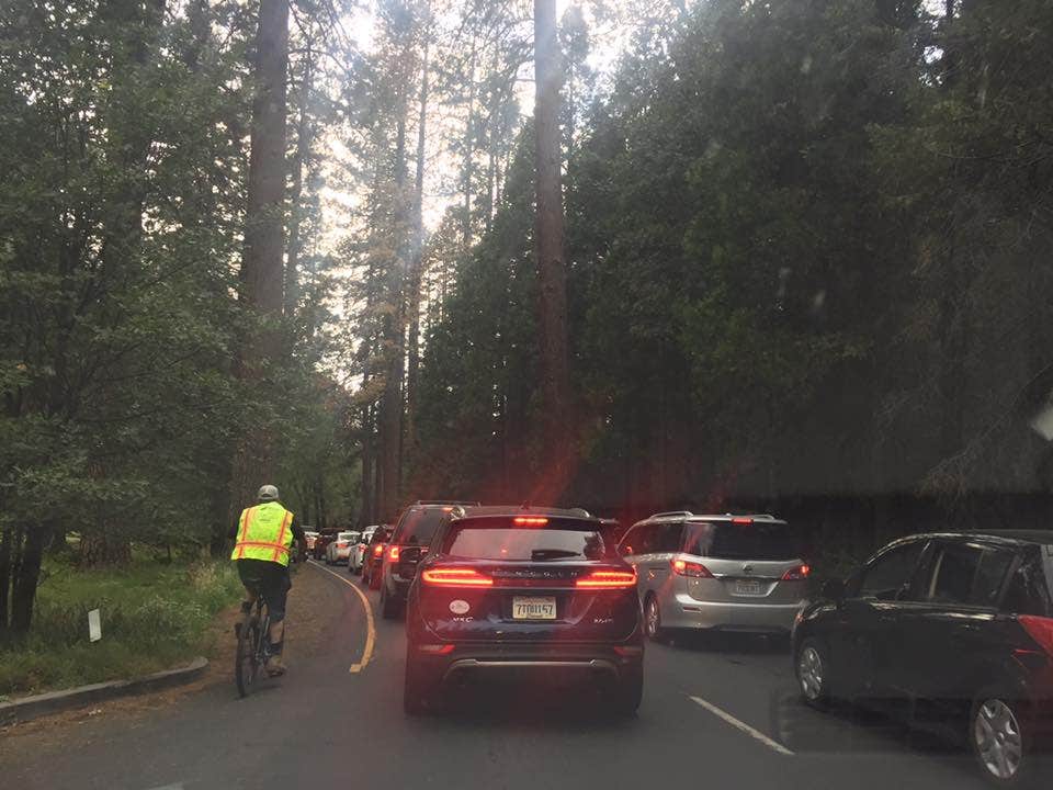 Camper submitted image from Wawona Campground — Yosemite National Park - 5