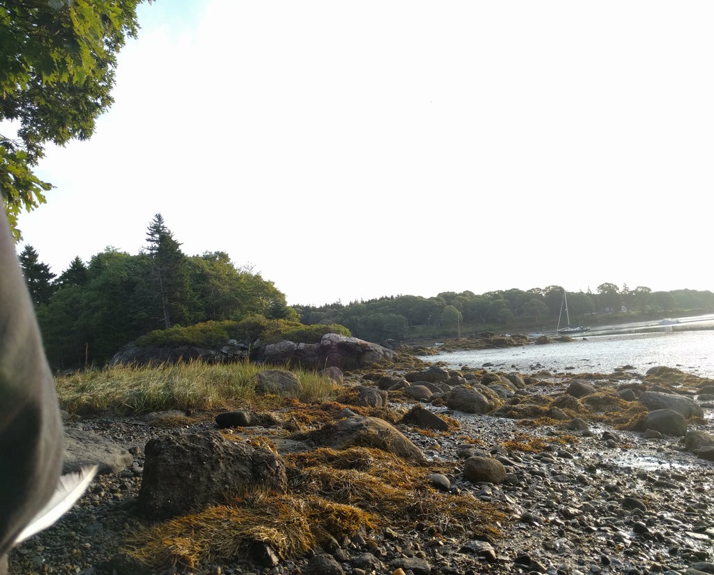 A view of the mud shore and tidal pools, perfect for crab catching on Hermit Island, Maine.