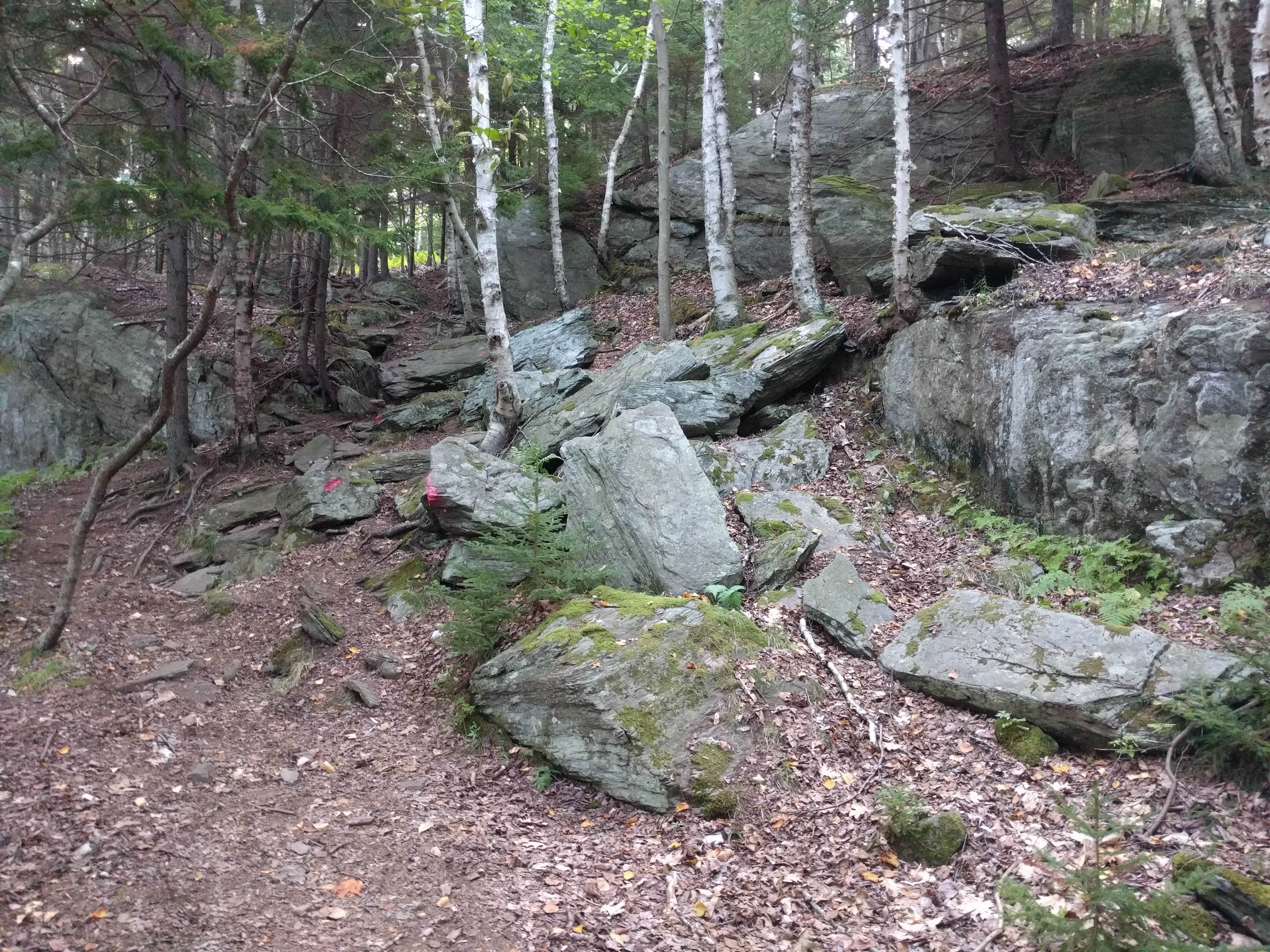 Camper-submitted photo at Hermit Island Campground near Boothbay Harbor, ME