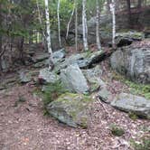 Review photo of Hermit Island Campground by Rita M., October 16, 2017