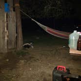 Review photo of Hermit Island Campground by Rita M., October 16, 2017