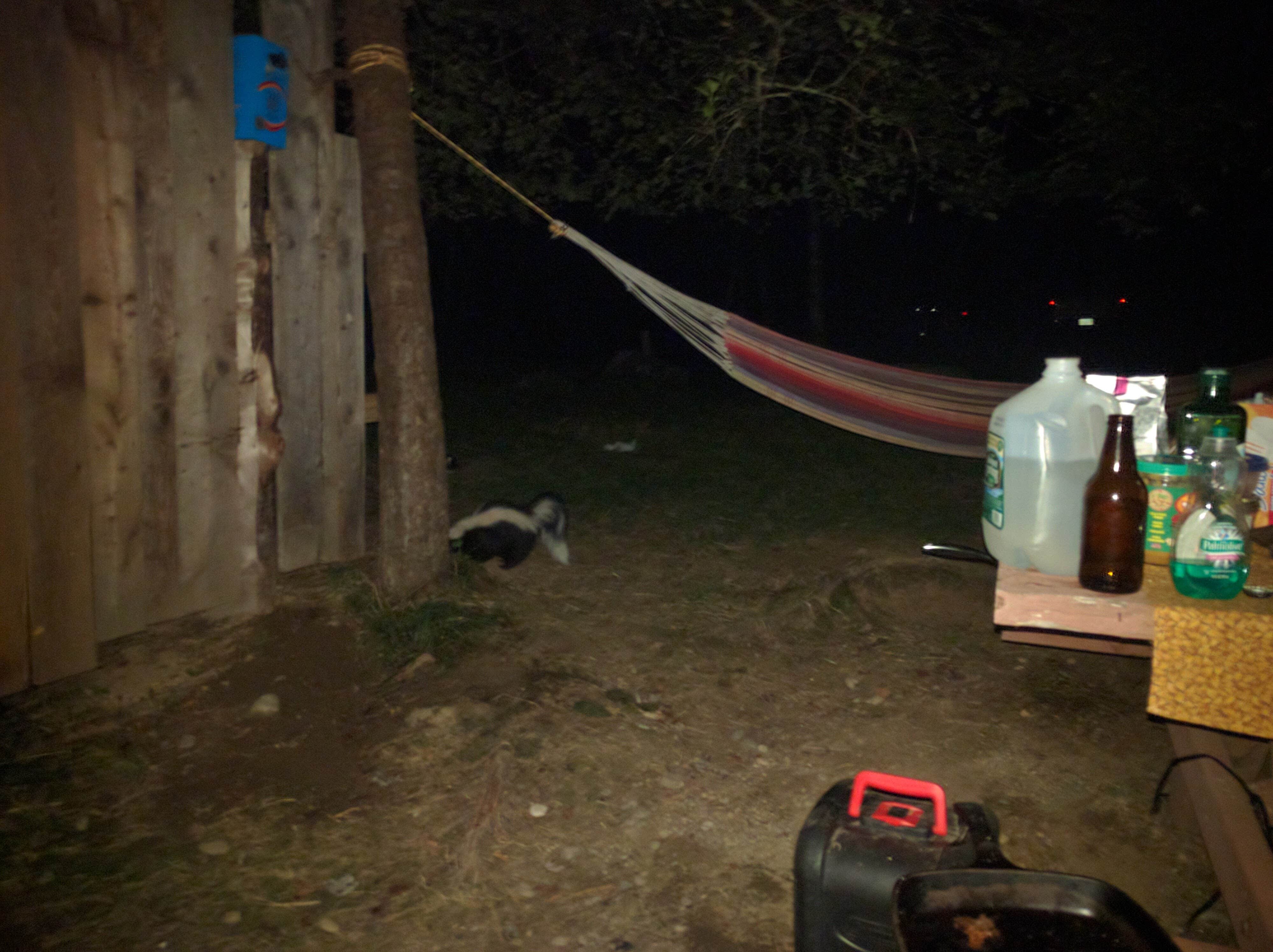 Camper submitted image from Hermit Island Campground - 5