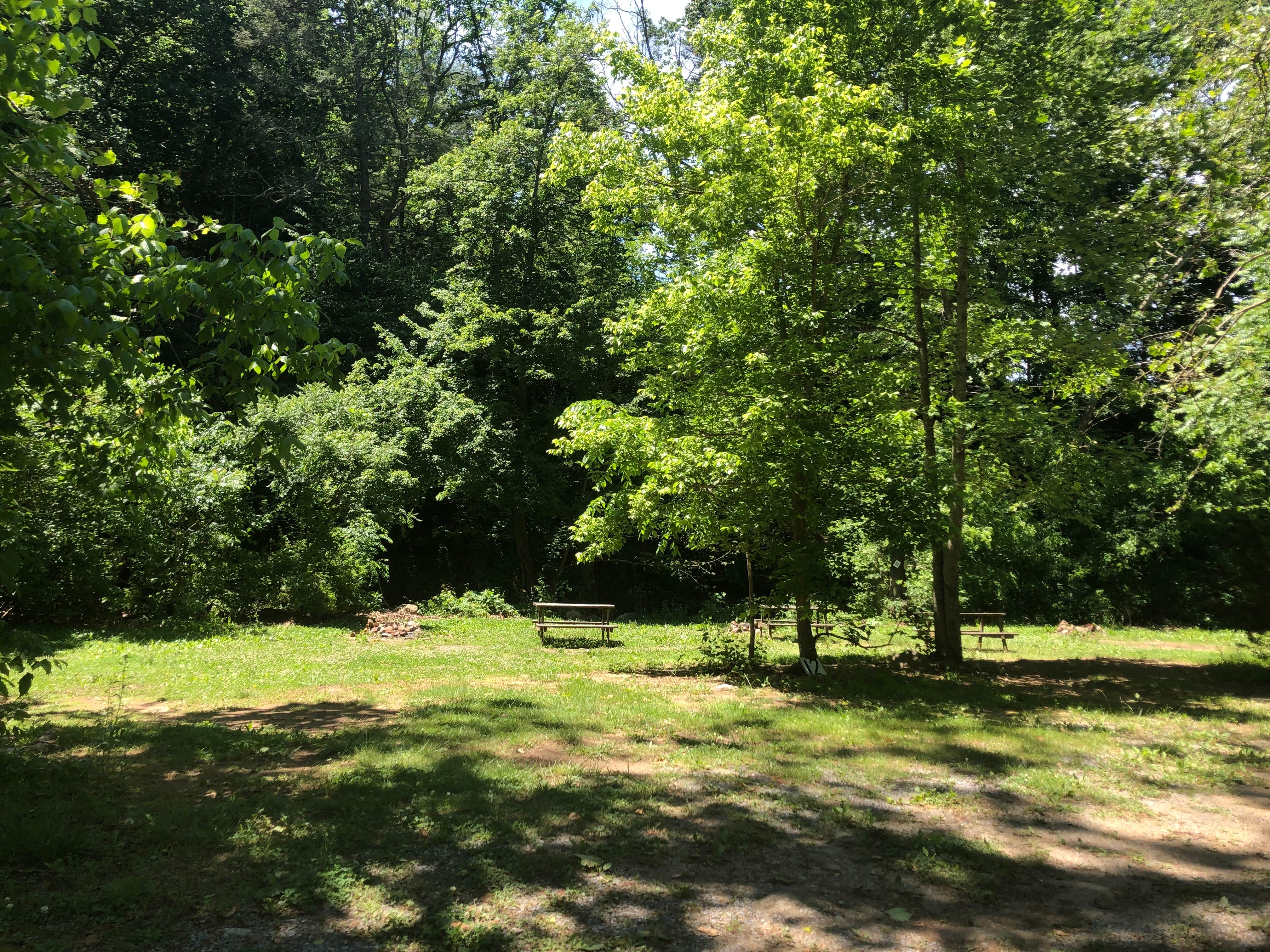 Camper-submitted photo at Gooney Creek Campground near Winchester, VA
