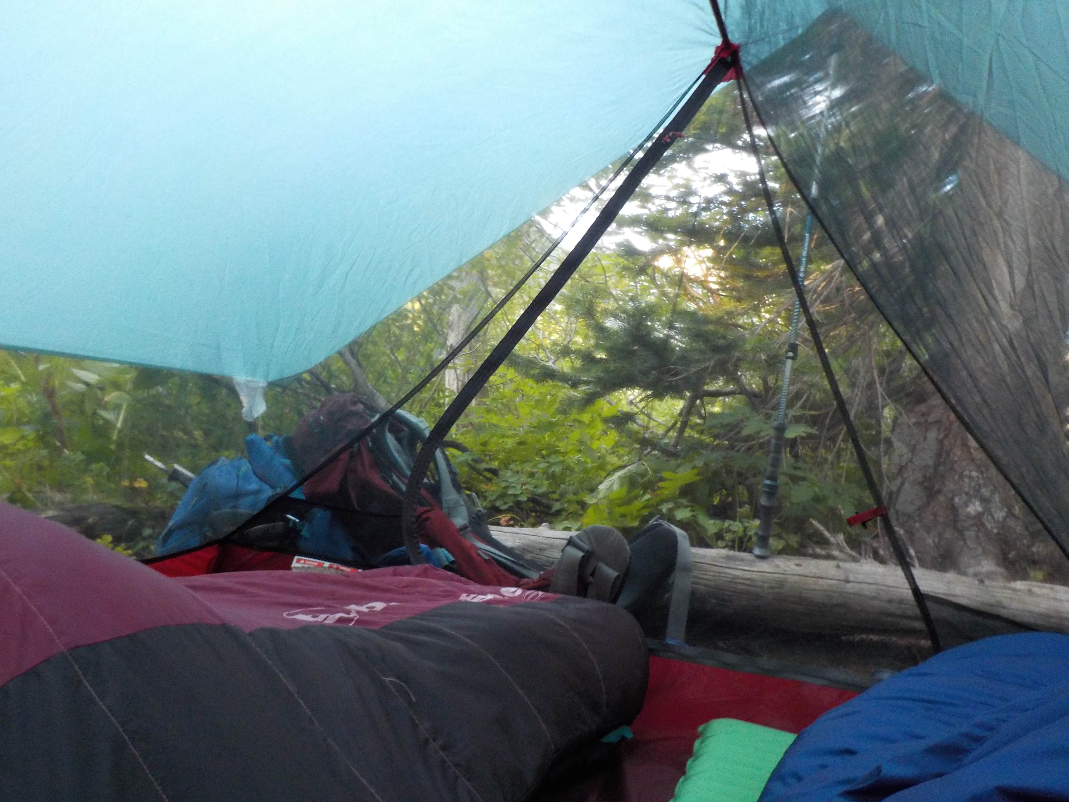 Sarah C.'s photo of tent camping at Upper Two Medicine Lake near Somers, MT