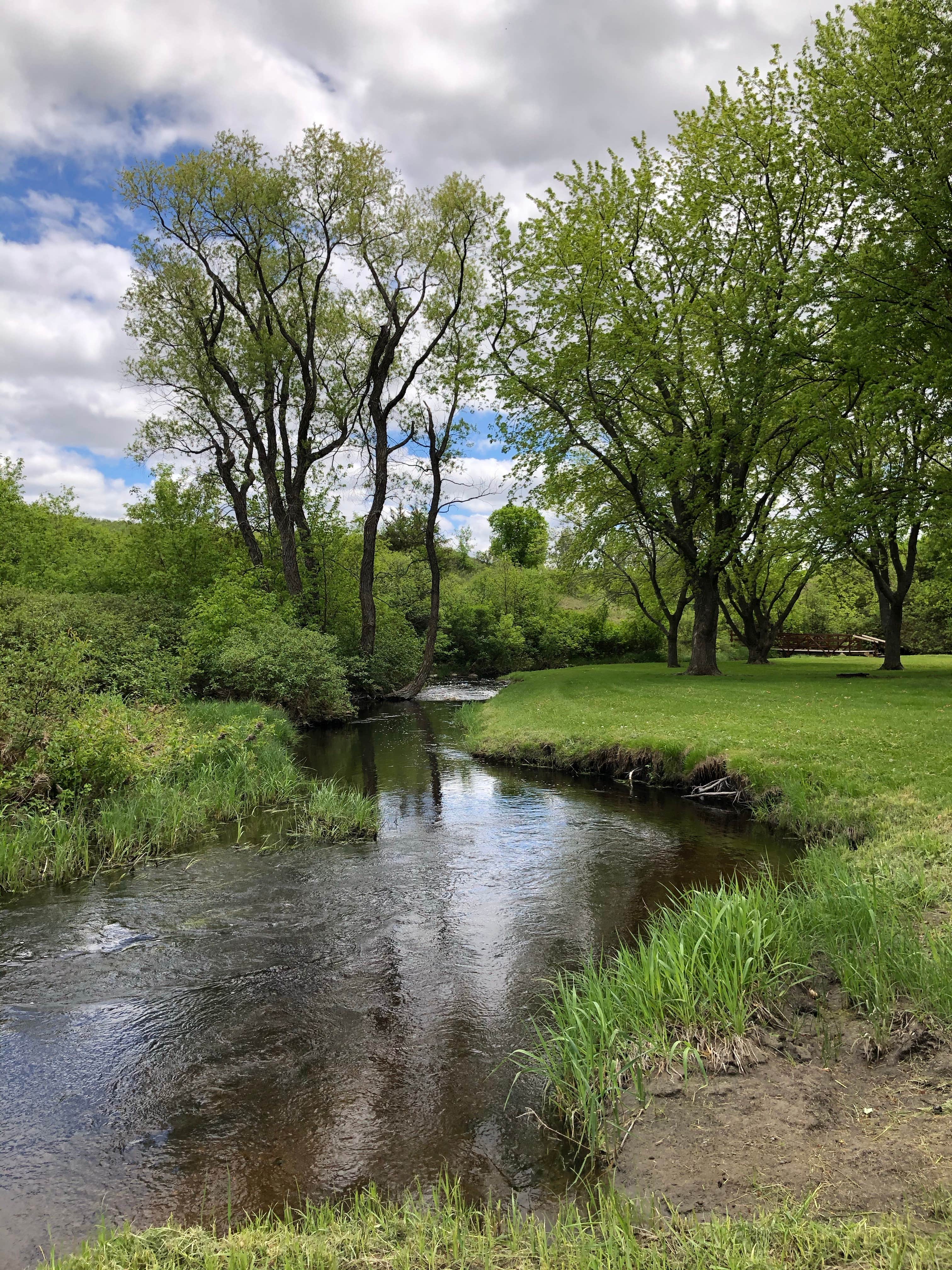 Camper submitted image from Clausen Springs Park Campground - 2