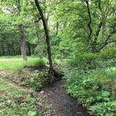 Review photo of Little Yellowstone County Park by Ason S., June 9, 2020