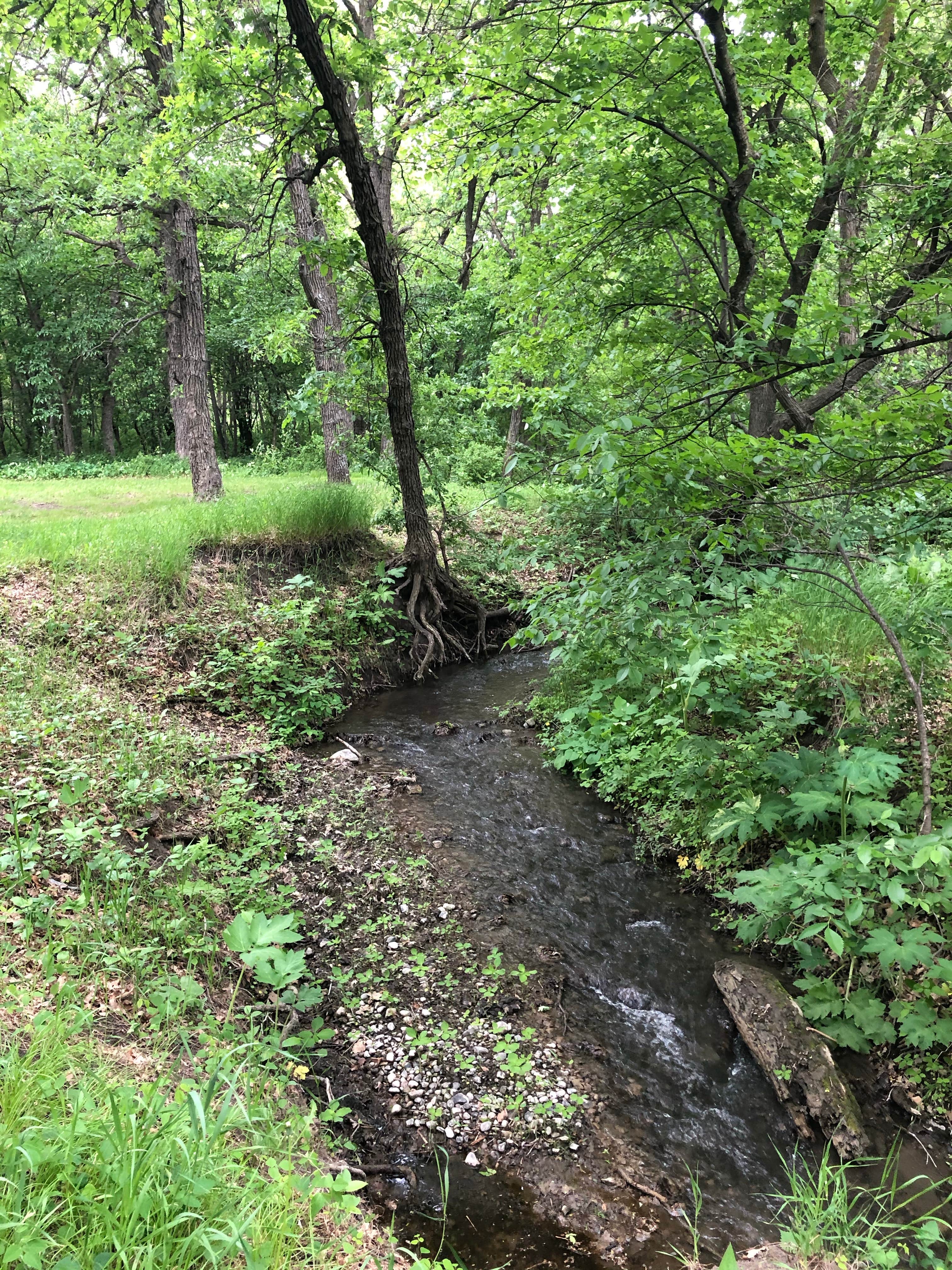 Camper submitted image from Little Yellowstone County Park - 3
