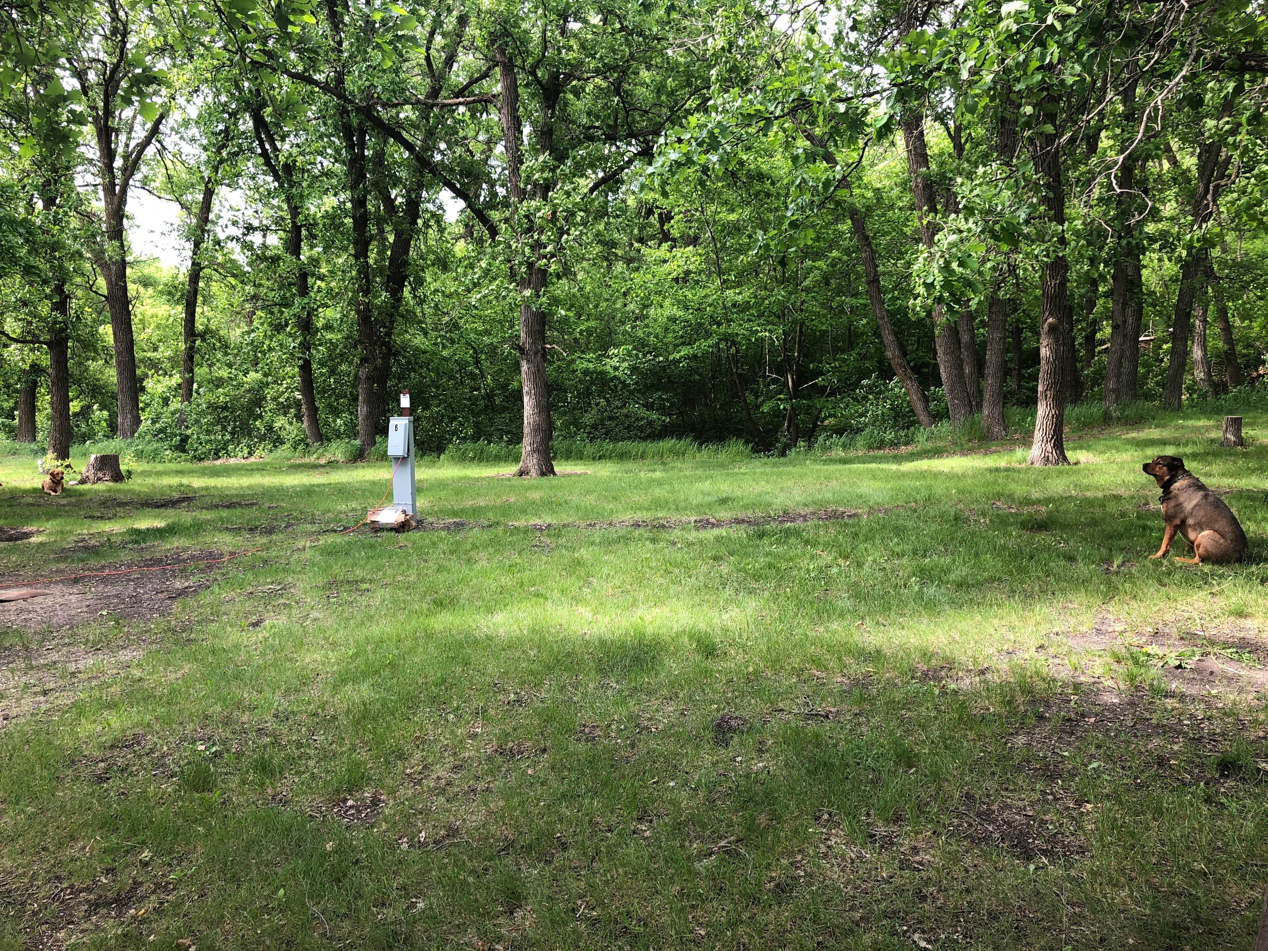 Camper-submitted photo at Little Yellowstone County Park near Fort Ransom, ND