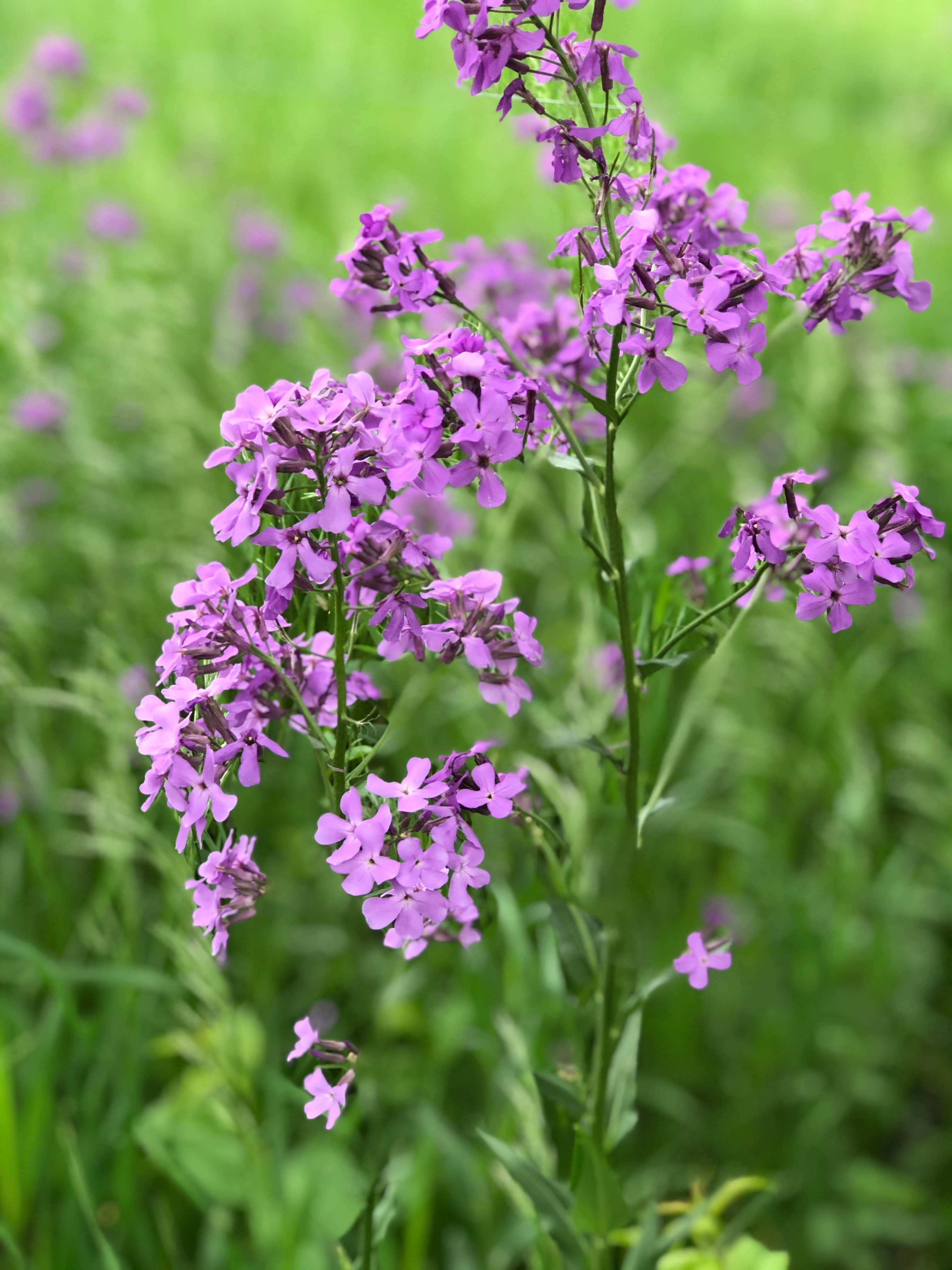 Camper-submitted photo at Little Yellowstone County Park near Fort Ransom, ND