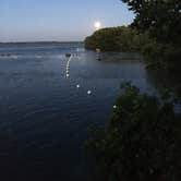Review photo of John Pennekamp Coral Reef State Park Campground by B M., June 9, 2020