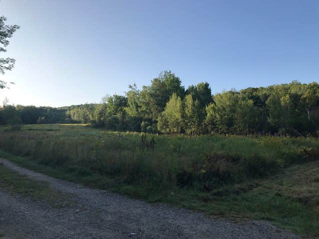 Camper submitted image from Maple Hill Campsites - 3