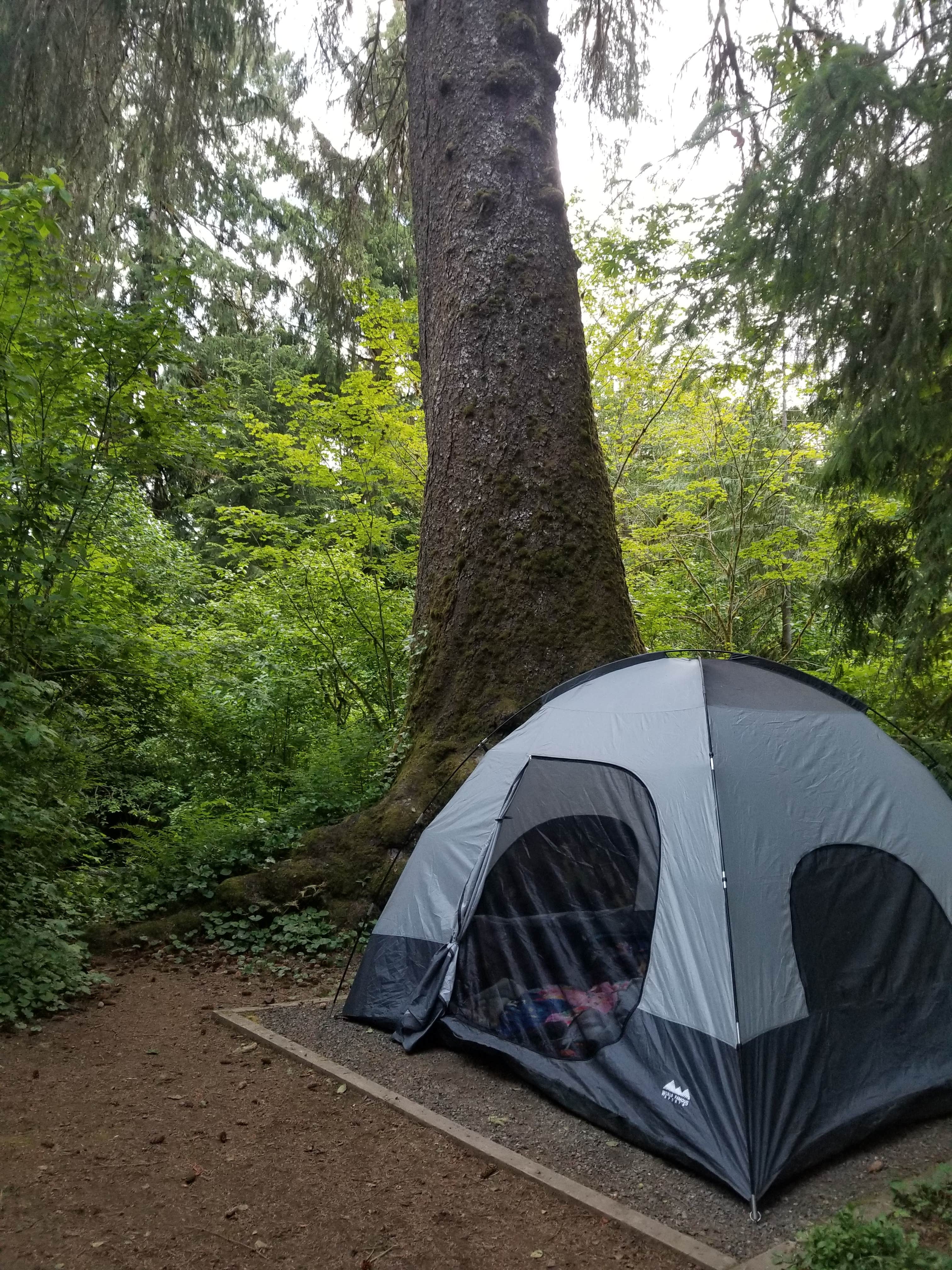 Shawna B.'s photo at Falls Creek Campground near Taholah, WA
